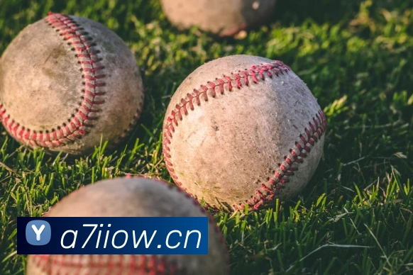 星空体育官网平台生态图